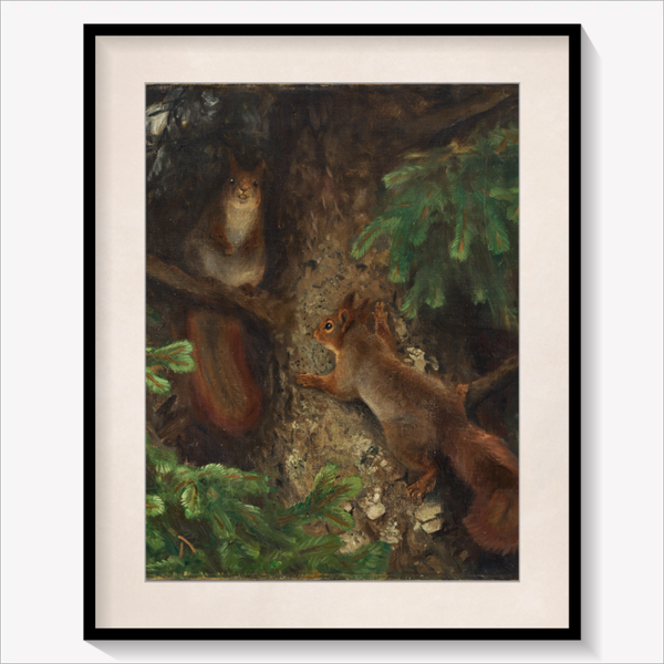 Two Squirrels 1898