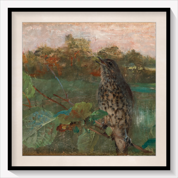 Vintage Bird
