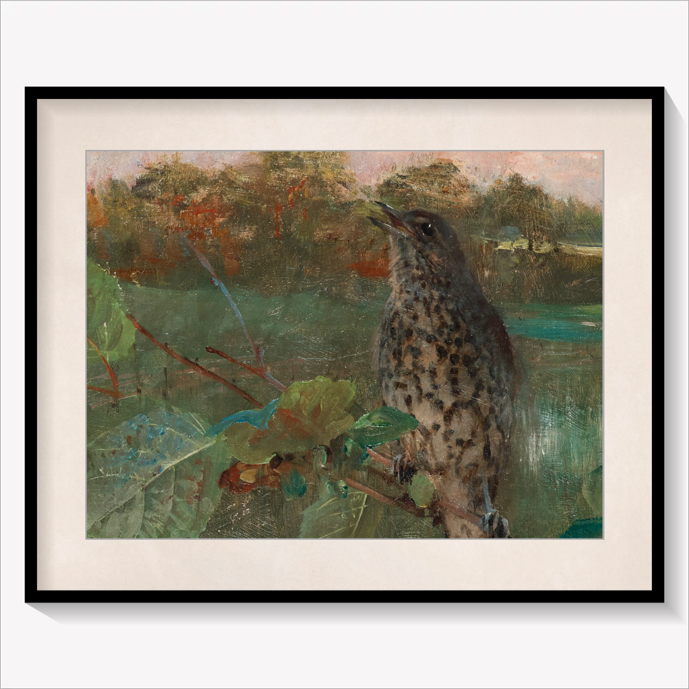Vintage Bird