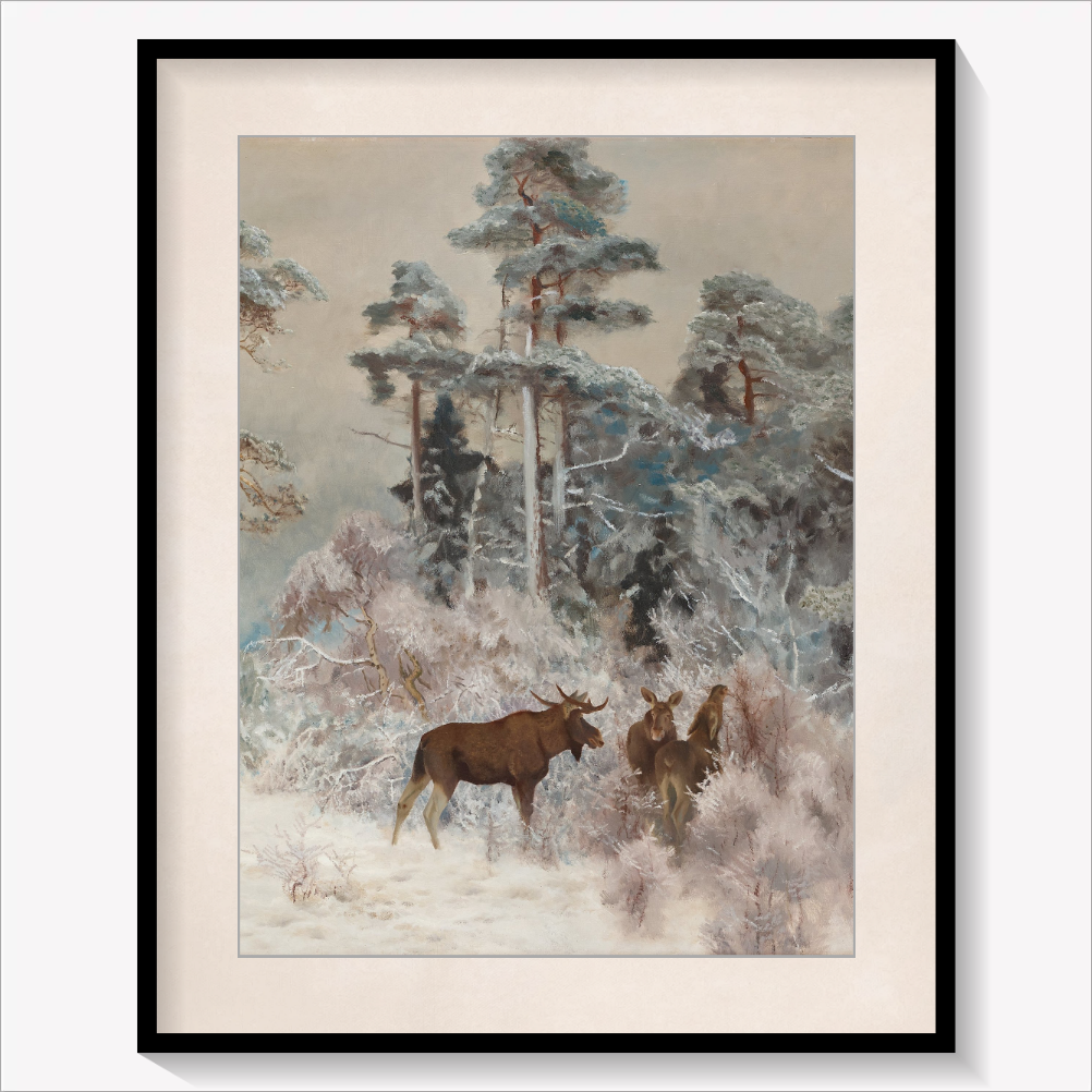 Moose in Winter 1922