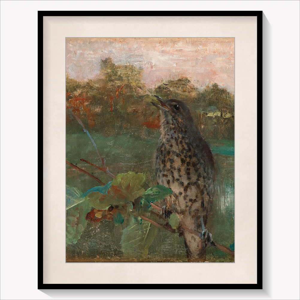 Vintage Bird