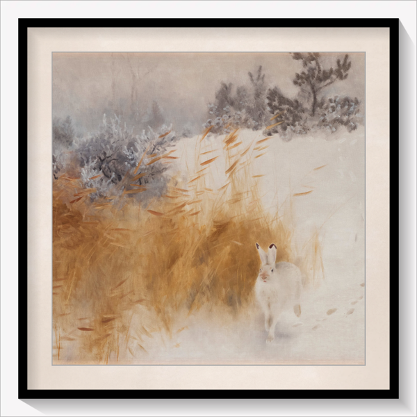 Winter Hare 1928
