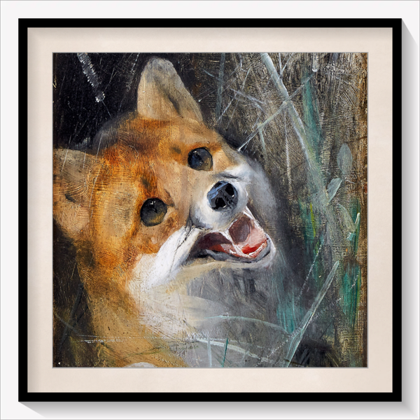 Curious Fox