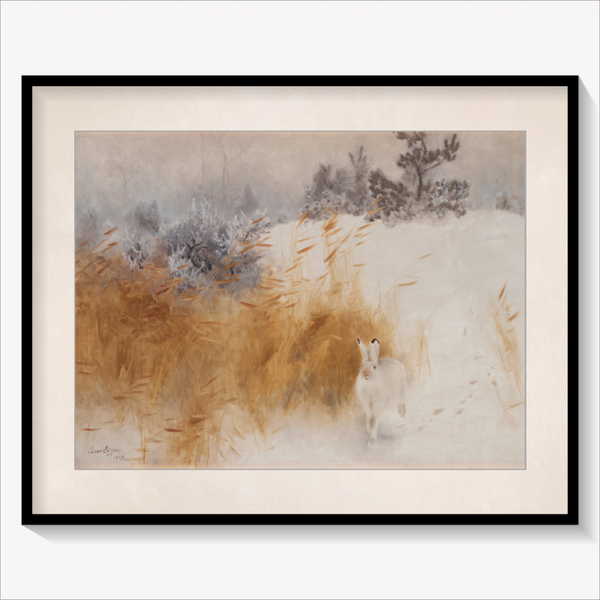 Winter Hare 1928