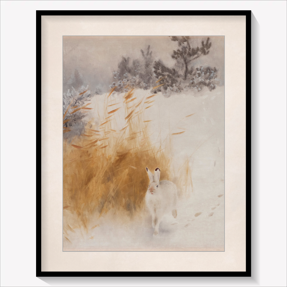 Winter Hare 1928