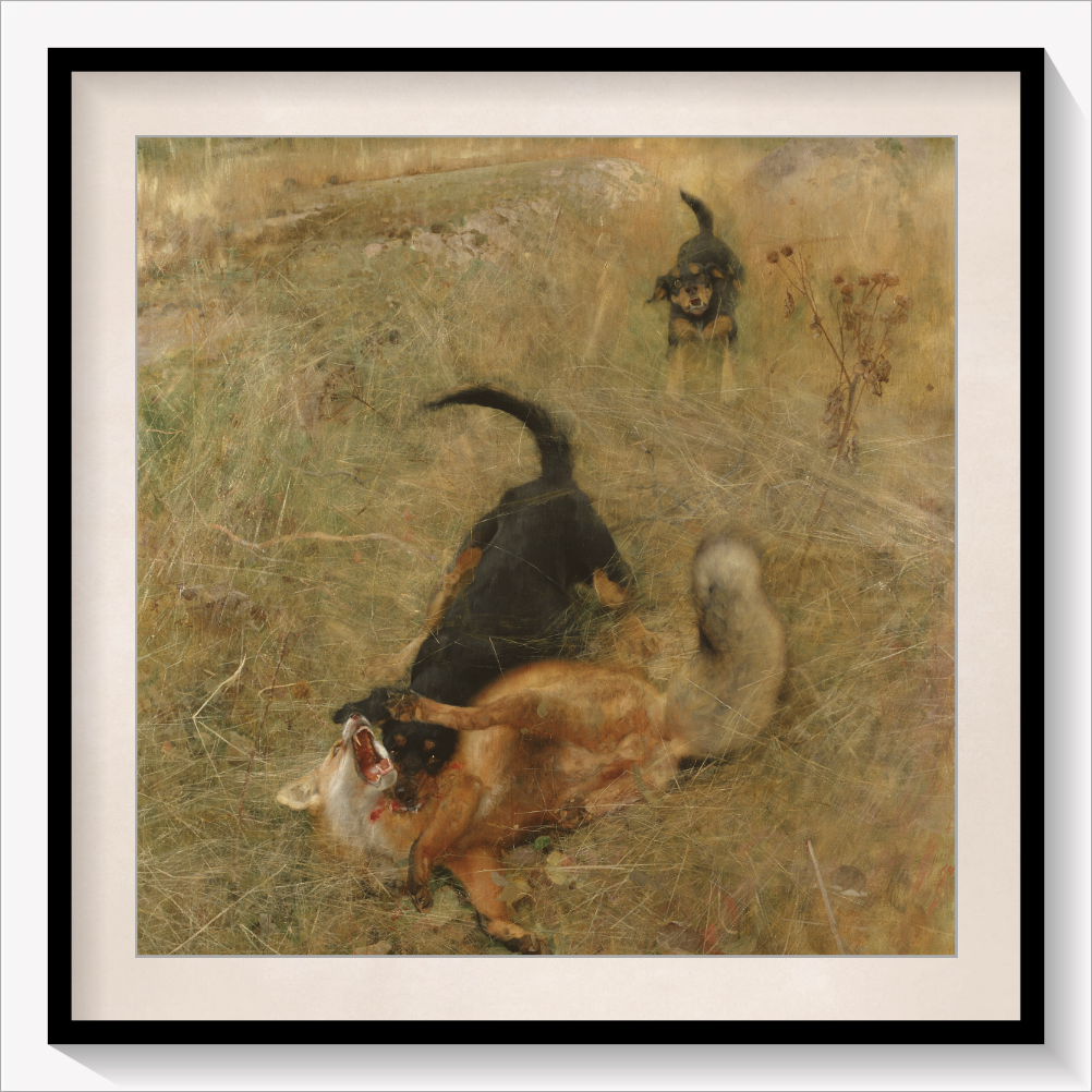 Foxhound and Fox 1885