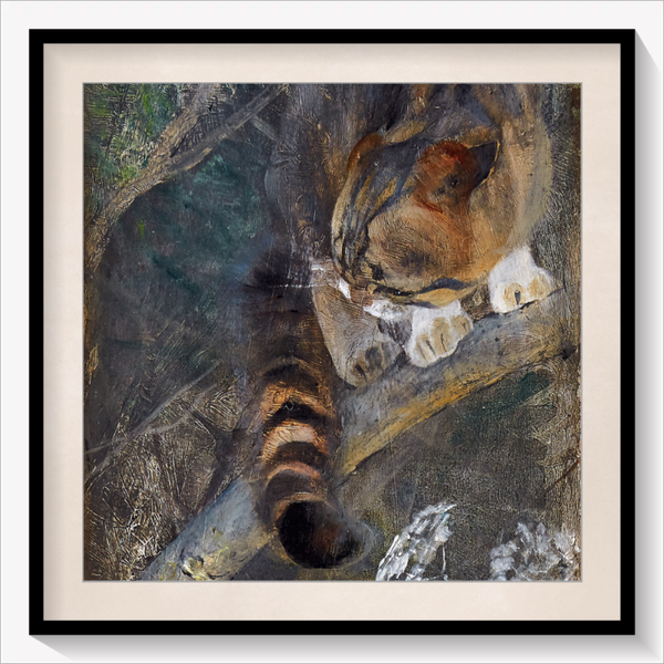 Cat in a Tree