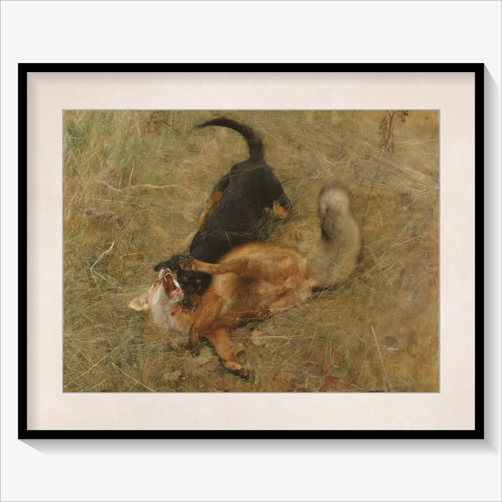 Foxhound and Fox 1885