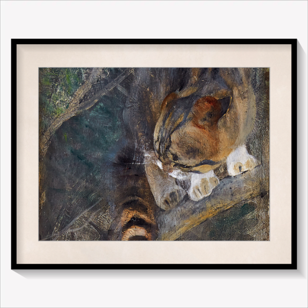 Cat in a Tree