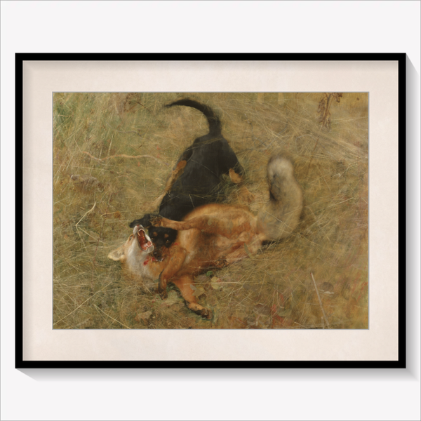 Foxhound and Fox 1885