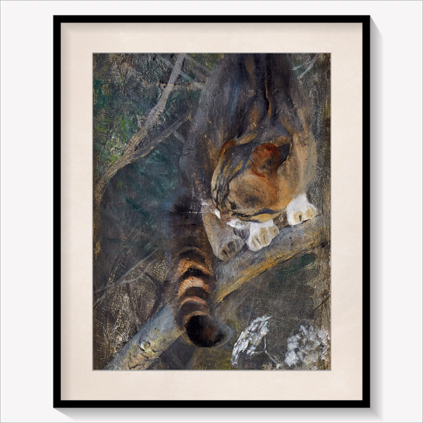Cat in a Tree