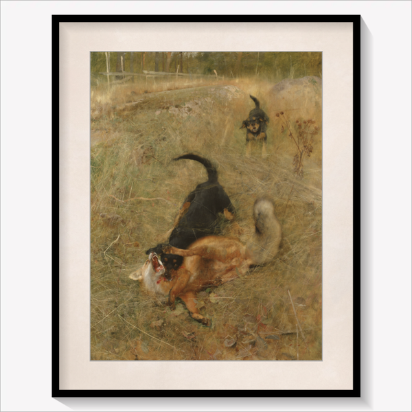 Foxhound and Fox 1885