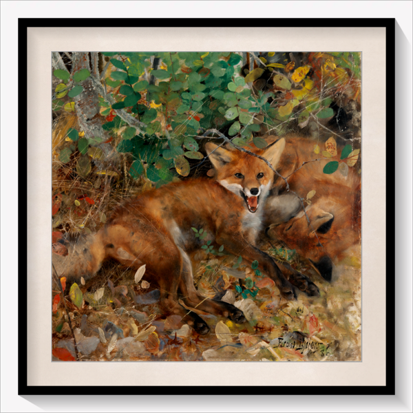Foxes 1886