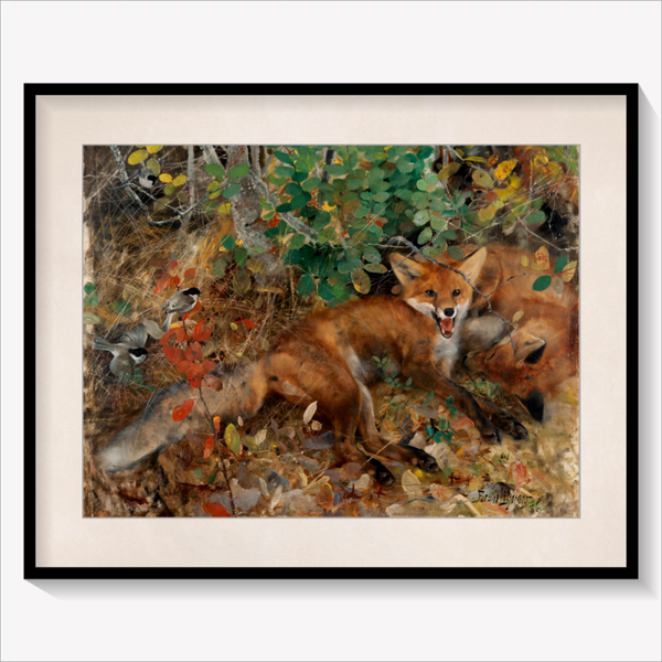 Foxes 1886