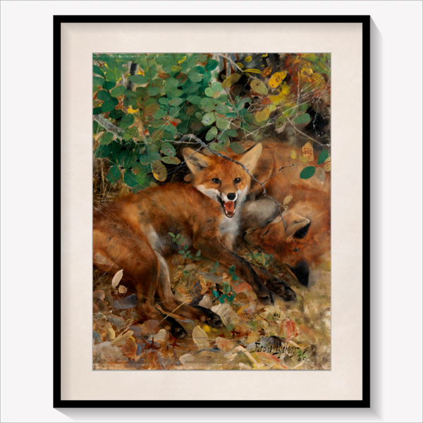 Foxes 1886