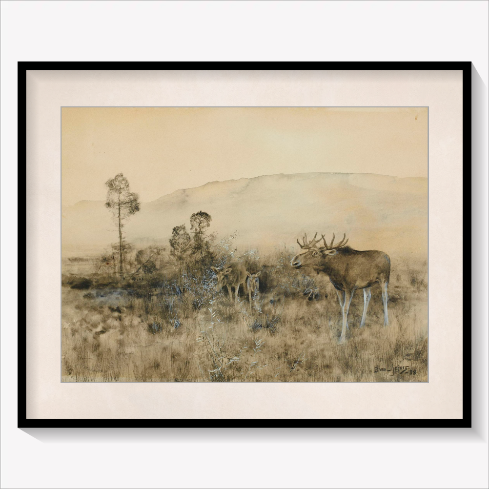 Family of Moose 1888