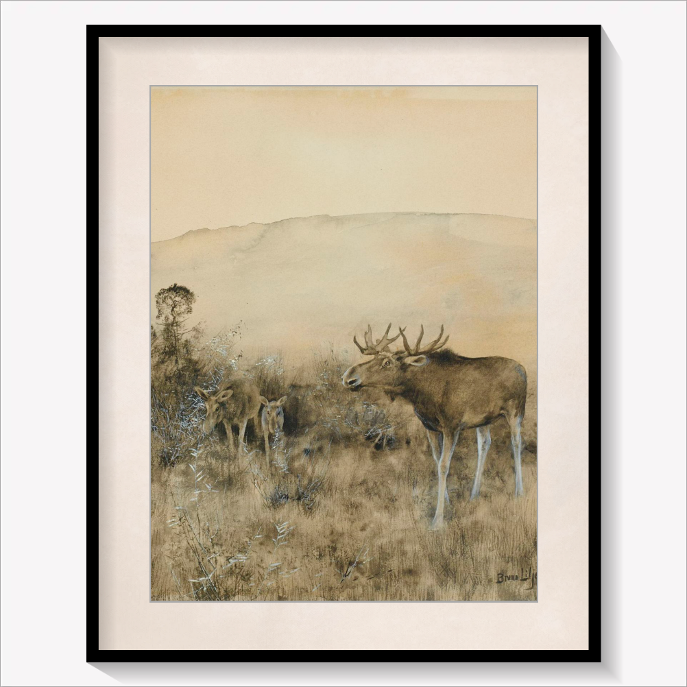 Family of Moose 1888