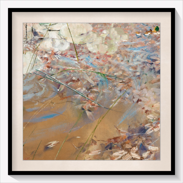 Leaves in the Water