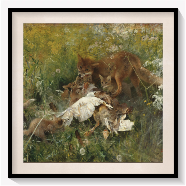A Fox Family 1886