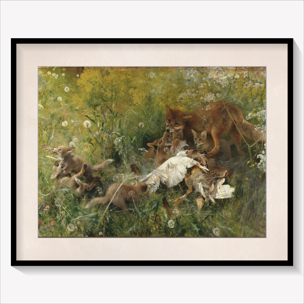 A Fox Family 1886