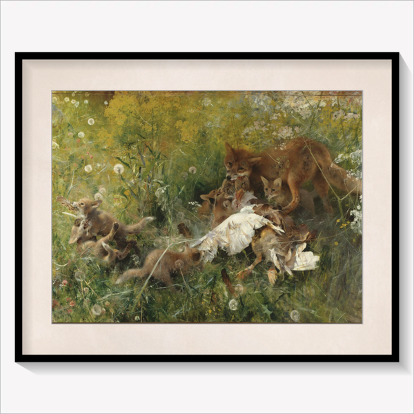 A Fox Family 1886