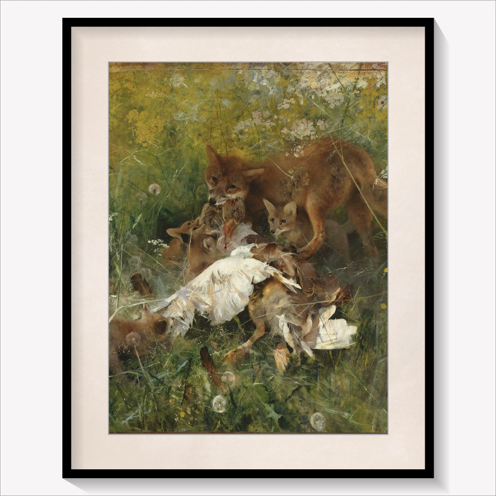 A Fox Family 1886
