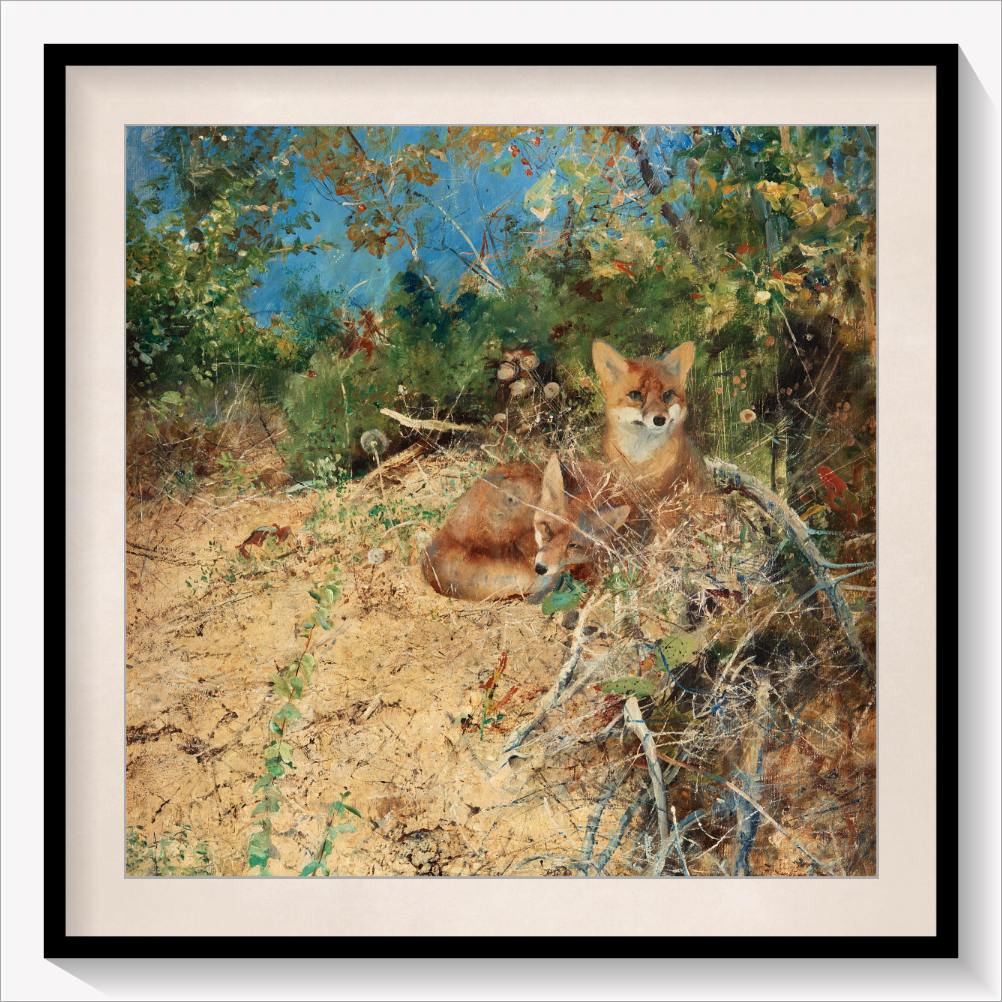 Foxes 1886