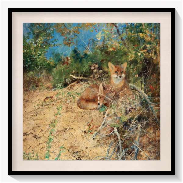 Foxes 1886