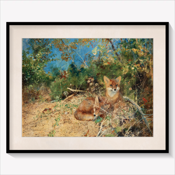 Foxes 1886