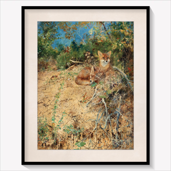 Foxes 1886