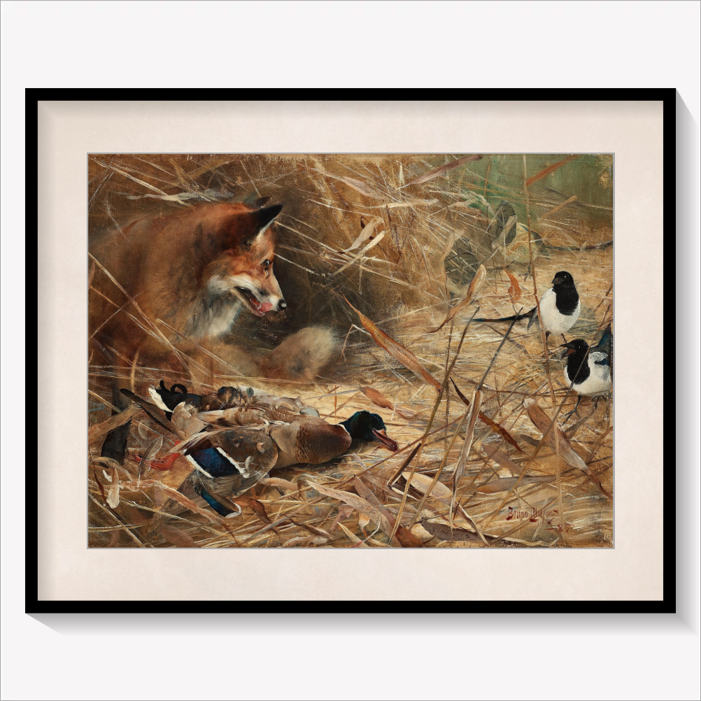 Fox and Magpies 1885