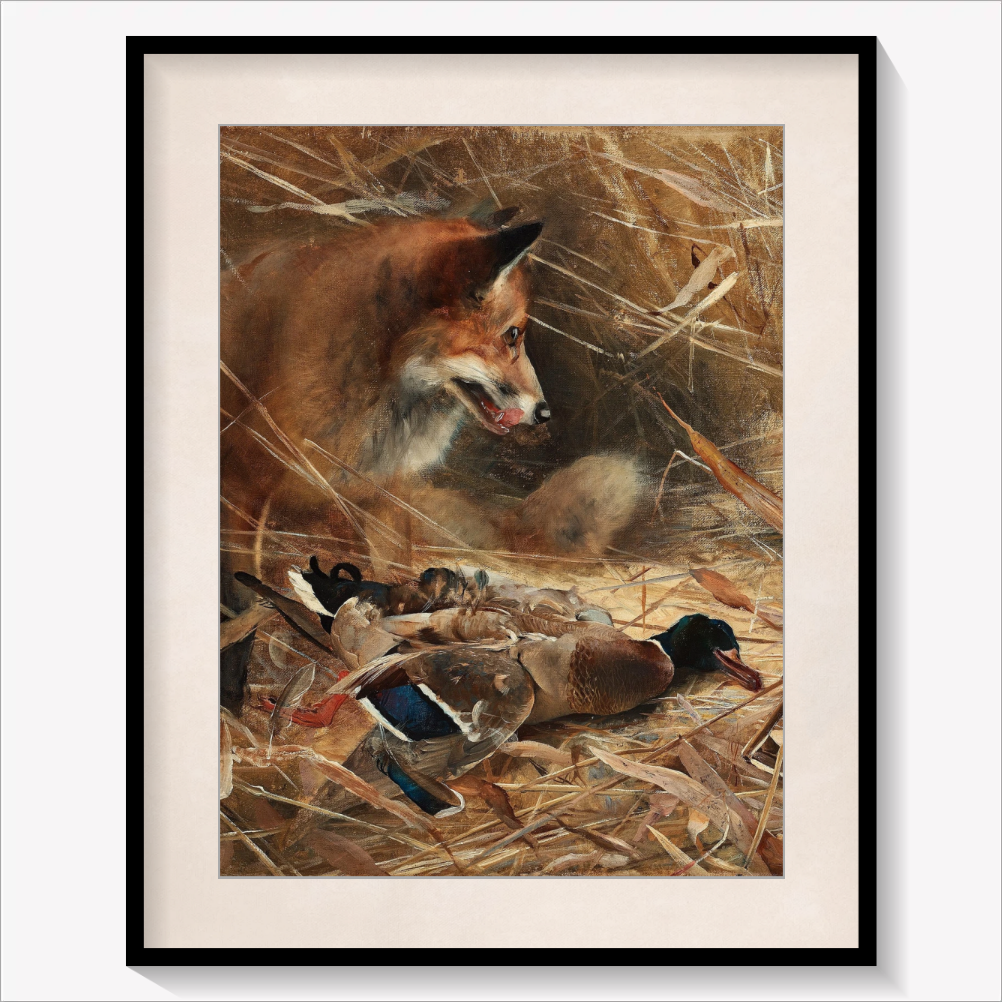 Fox and Magpies 1885