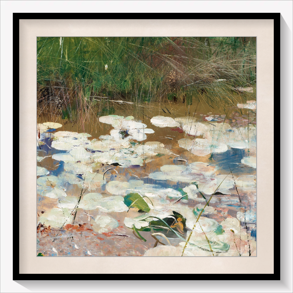 Water Lilies