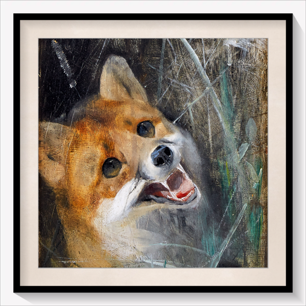 The Fox 1885