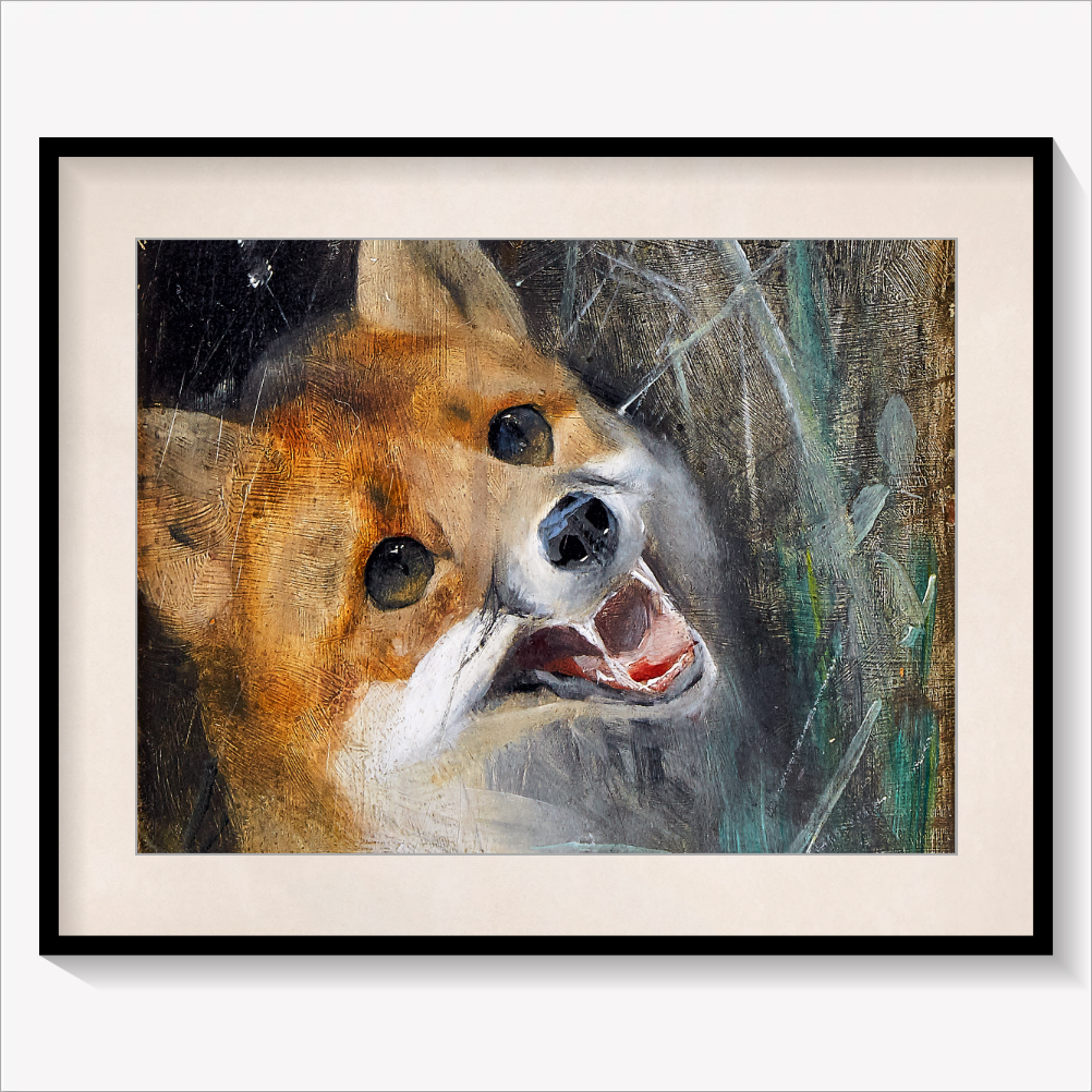 The Fox 1885