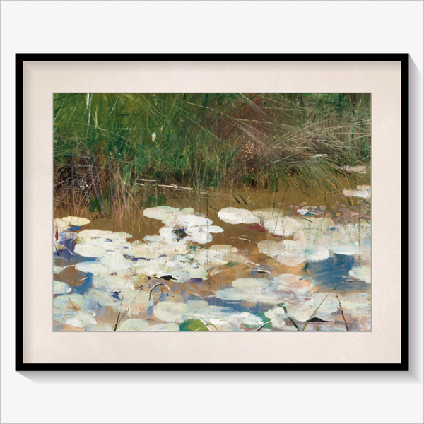 Water Lilies