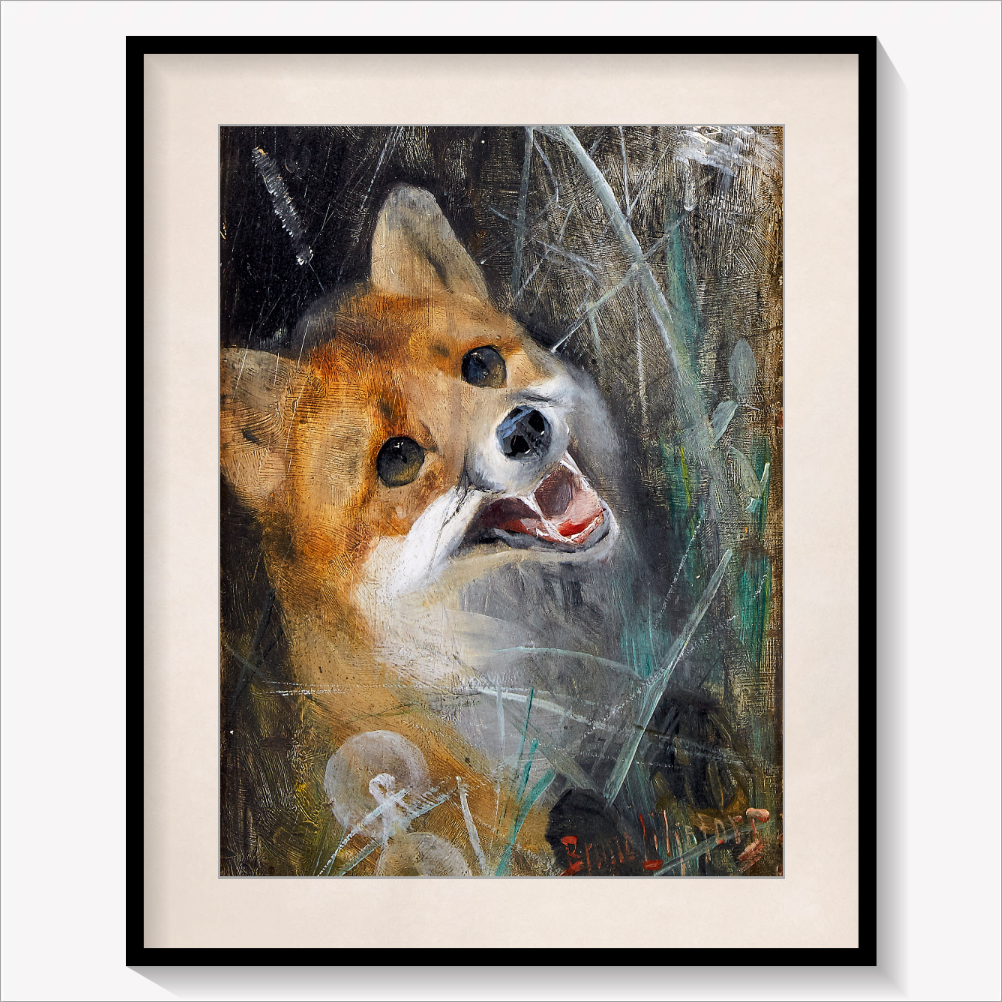 The Fox 1885