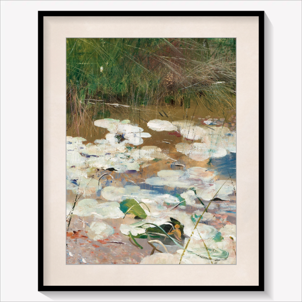 Water Lilies