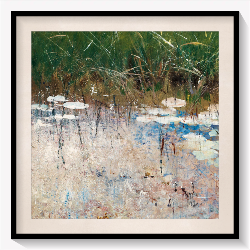 Reflections in the Reeds