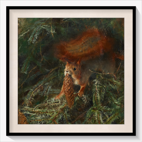 Squirrel 1886