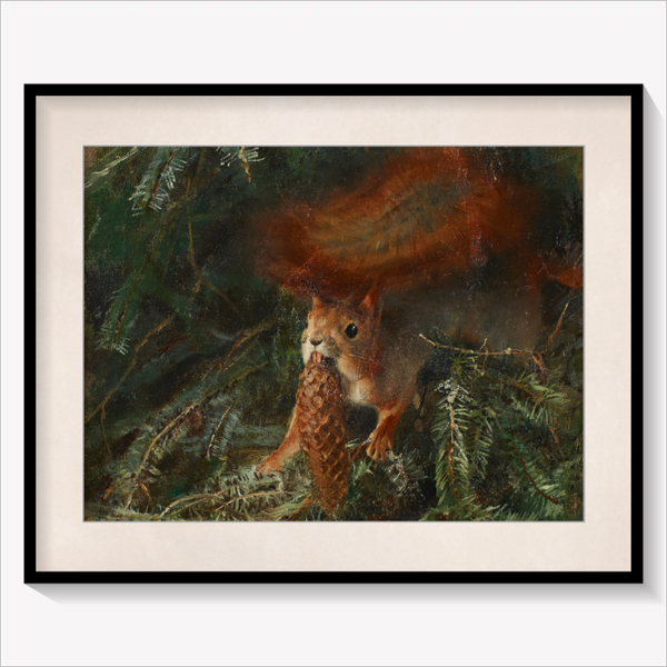 Squirrel 1886