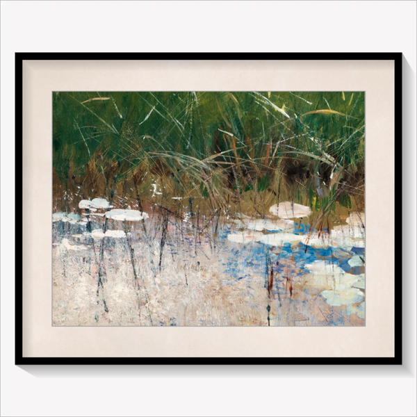 Reflections in the Reeds