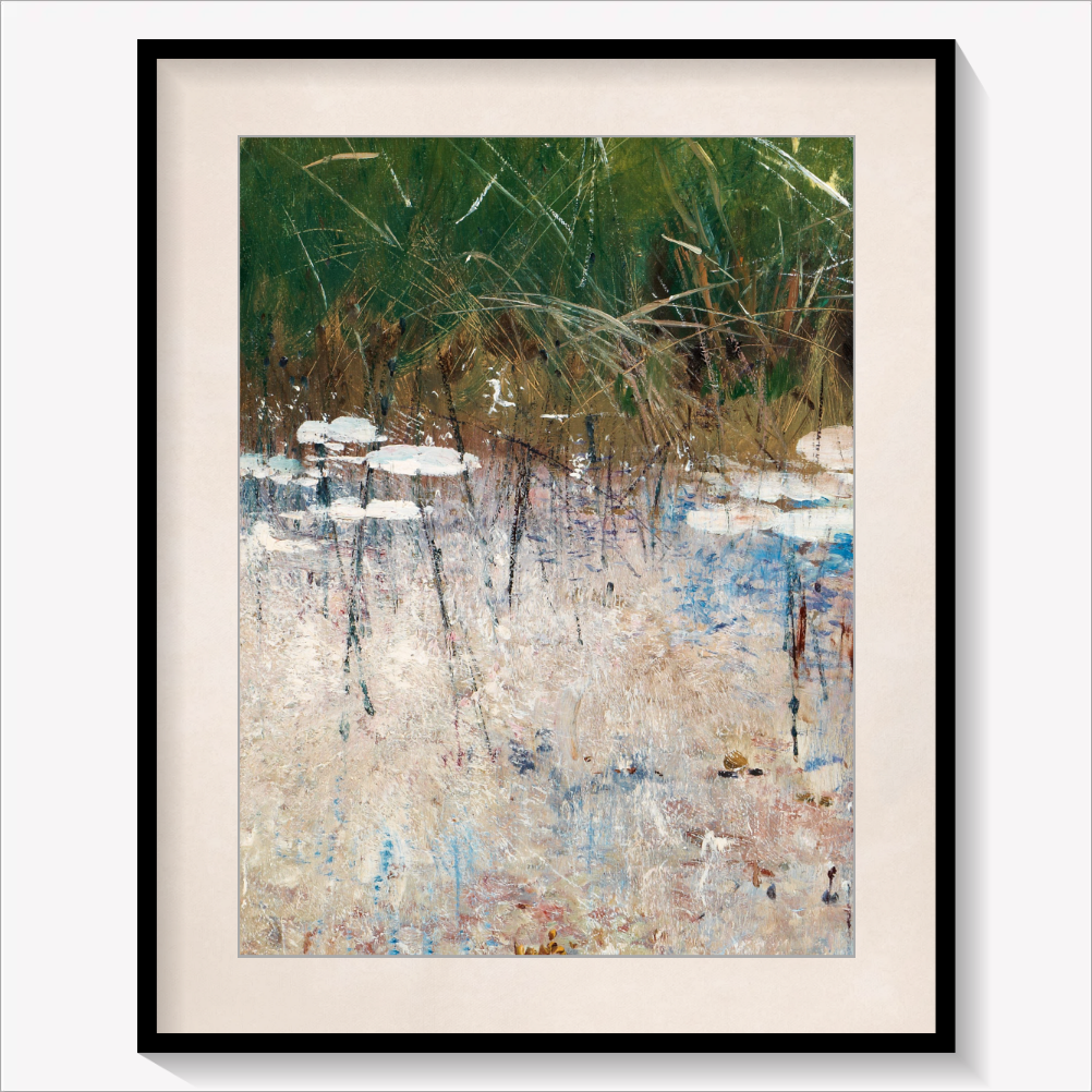 Reflections in the Reeds