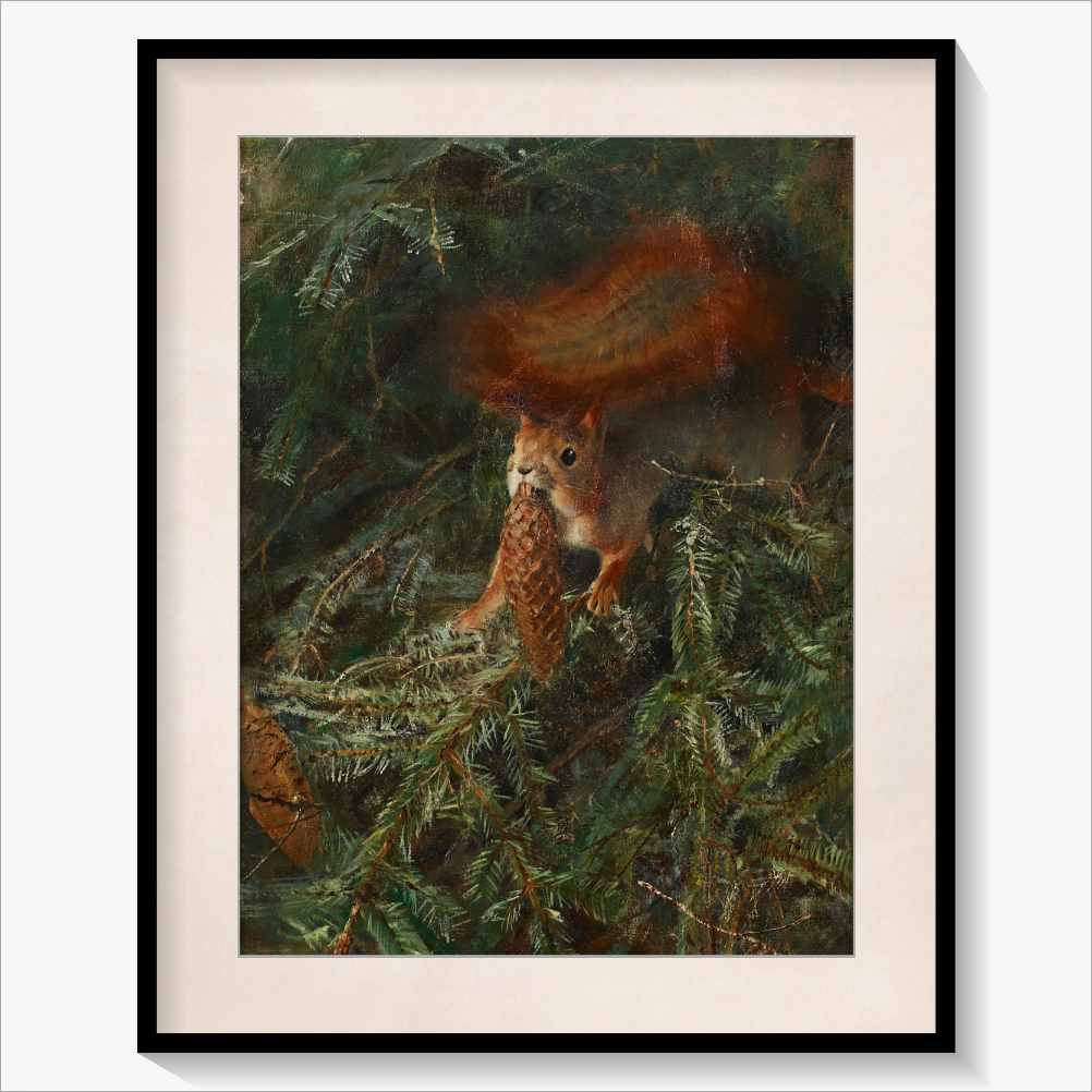 Squirrel 1886