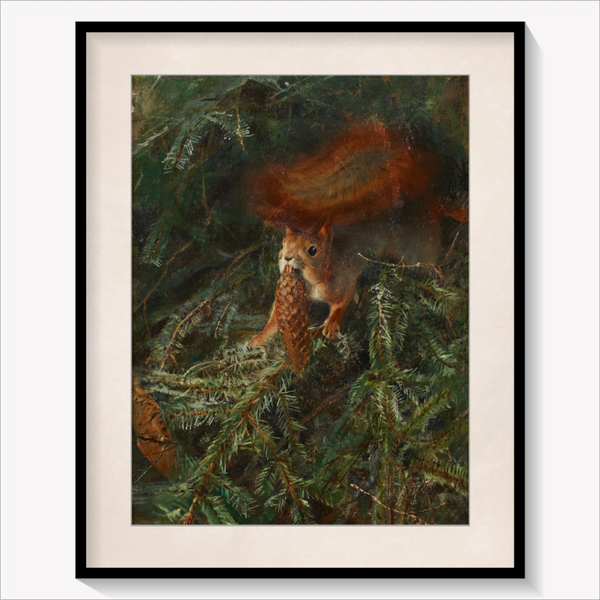 Squirrel 1886