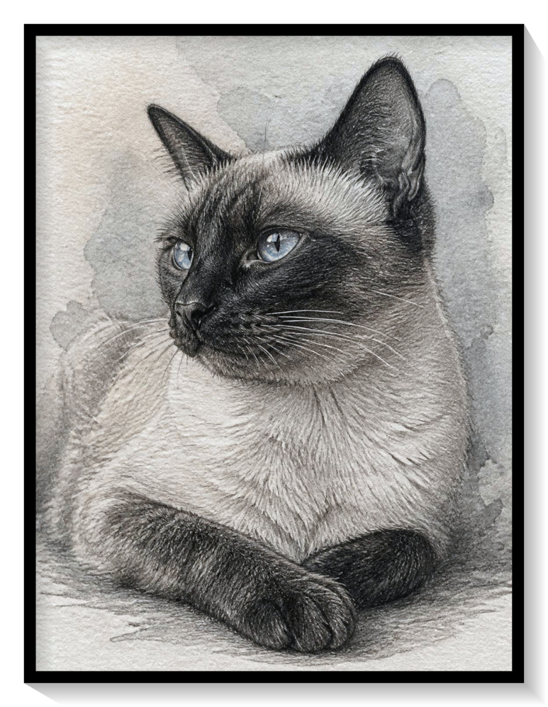 Siam Katze