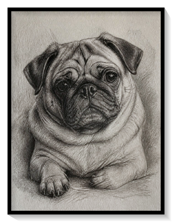 Mops
