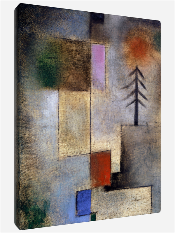 "Small Fir Picture"