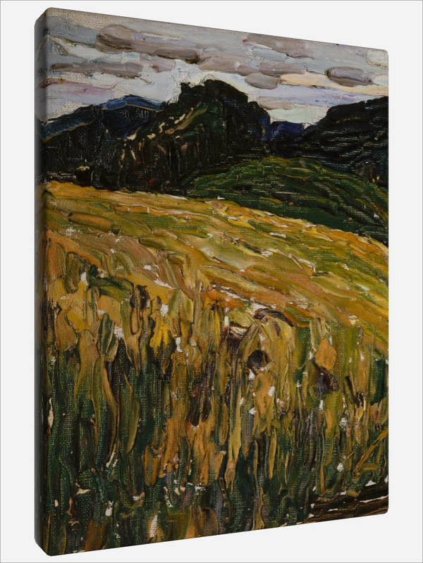 "Mountain Meadow"