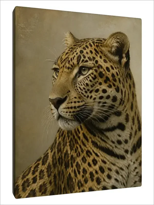 Leinwand Kunstdruck | Wildlife